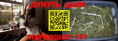 амф Обь