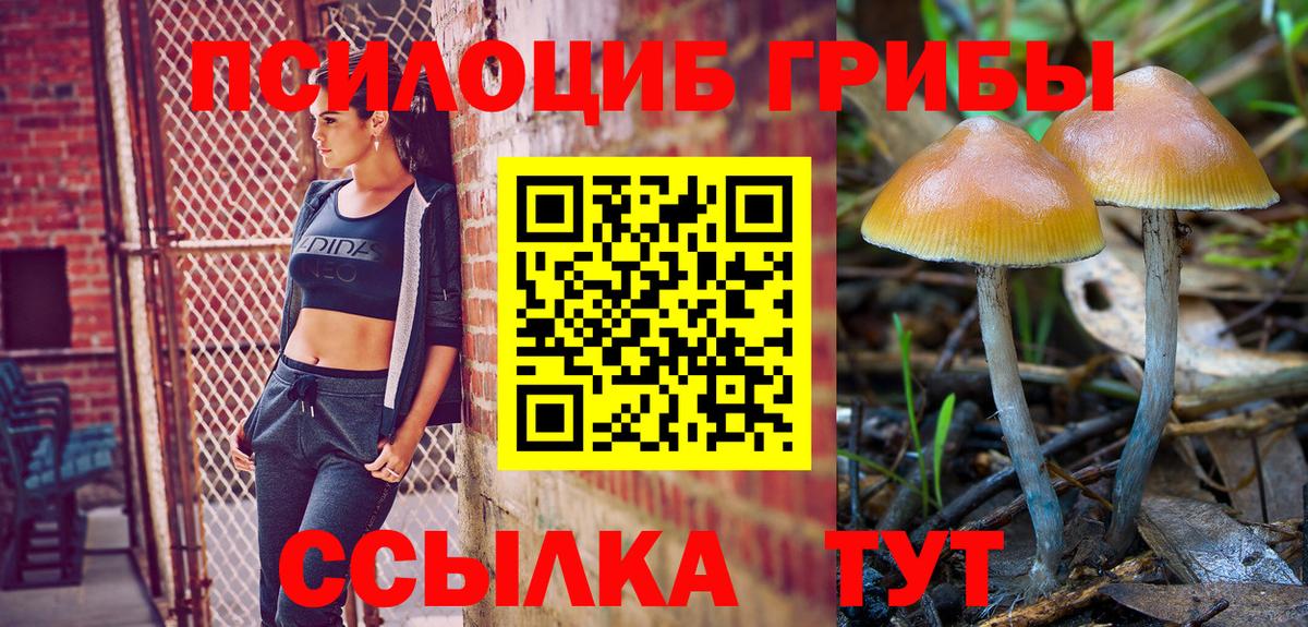 наркошоп  Галлюциногенные грибы Psilocybine cubensis  Вход с VPN  Тула 