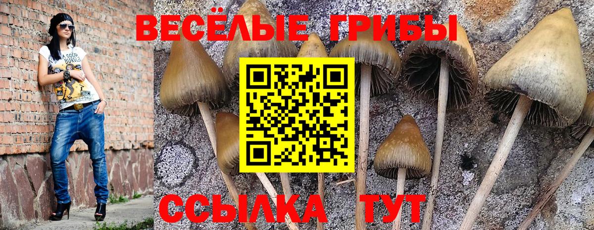 Галлюциногенные грибы ЛСД Тула